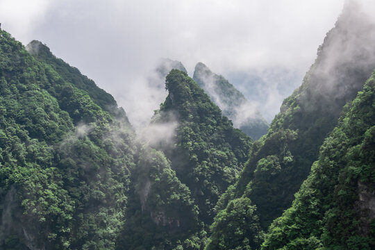 湖南張家界天門山云霧繚繞的山路奇觀