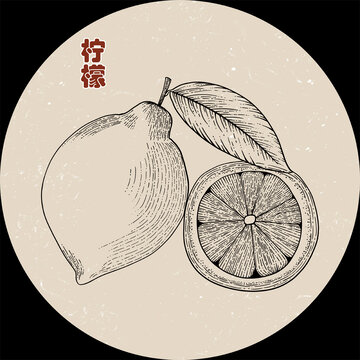 手繪檸檬線稿