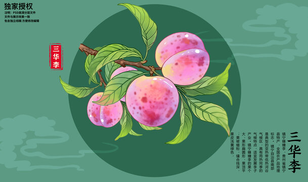 三華李