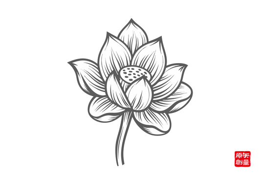 手繪簡約風(fēng)格單朵蓮花圖案