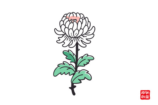 手繪清新單枝菊花插畫