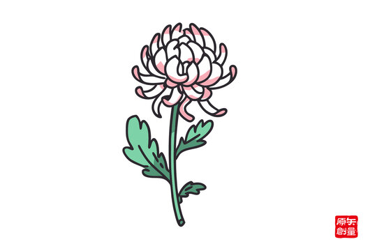 手繪粉色菊花插畫