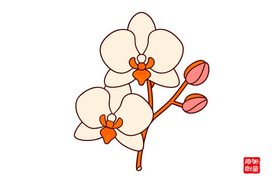 簡約風(fēng)手繪蝴蝶蘭插畫