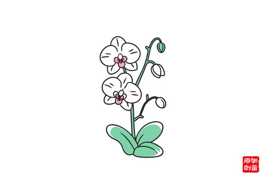手繪簡約風(fēng)蝴蝶蘭插畫