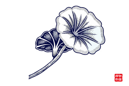 手繪銀杏葉圖案插畫