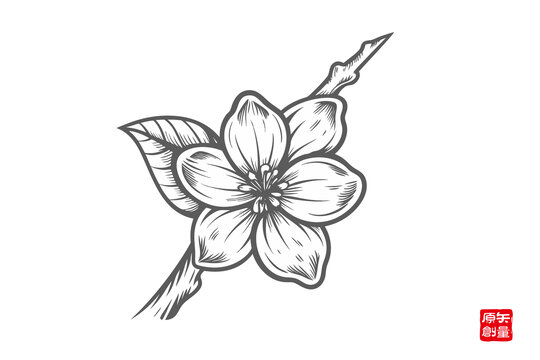 手繪單枝花朵黑白插畫