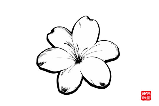 手繪簡約五瓣花朵圖案
