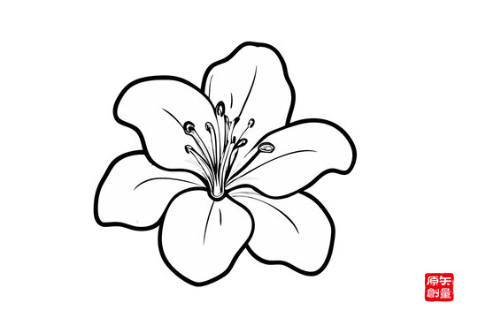 手繪黑白線條花卉圖案