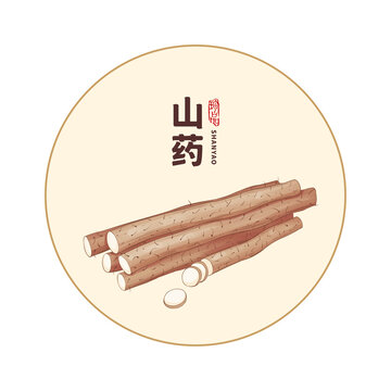 山藥手繪插畫