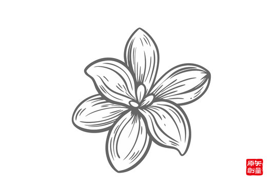 手繪簡約五瓣花圖案桂花