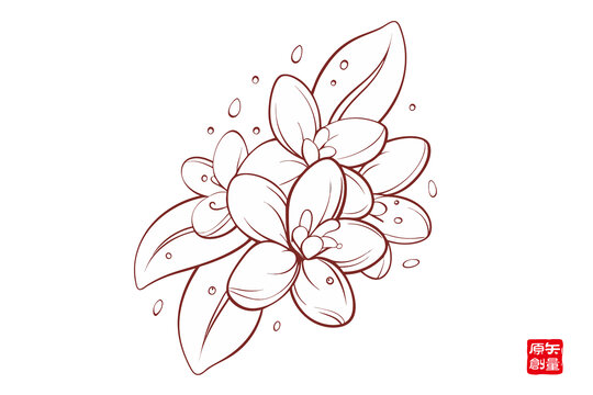 手繪簡(jiǎn)約花卉插畫圖案桂花
