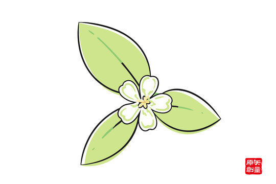 清新手繪綠葉白花桂花圖案