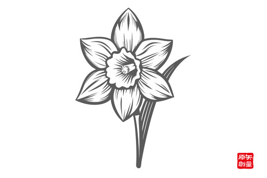 手繪簡(jiǎn)約風(fēng)格水仙花圖案