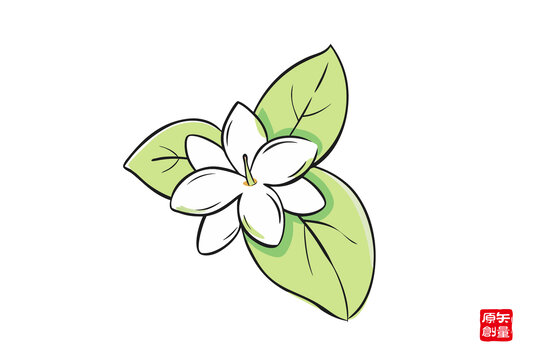 手繪簡(jiǎn)約白色小花與綠葉茉莉花