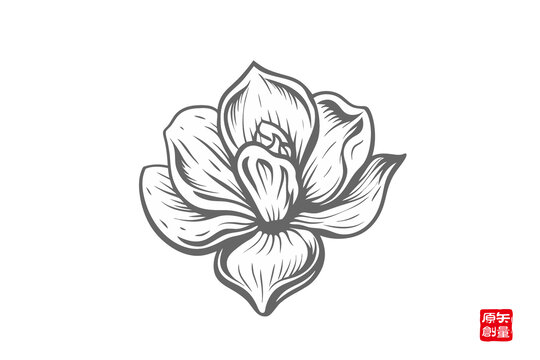 簡(jiǎn)約手繪風(fēng)格單朵花卉茉莉花圖案