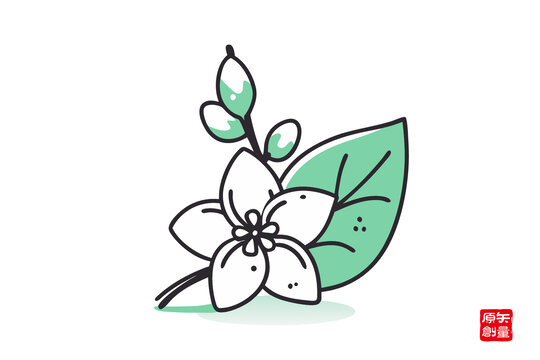 清新手繪花朵綠葉茉莉花插畫