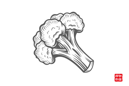 手繪西蘭花簡約圖案