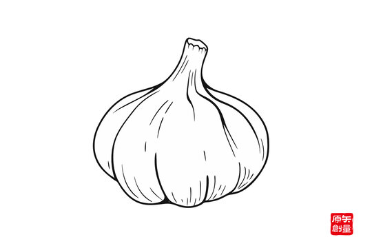 手繪簡約大蒜線條插畫