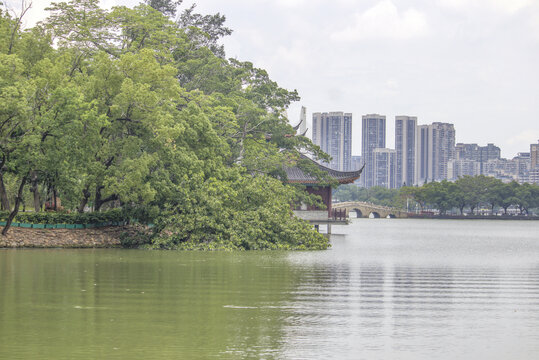 惠州西湖綠樹與建筑風(fēng)光