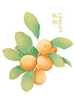 國風(fēng)枇杷