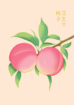 國風(fēng)桃子