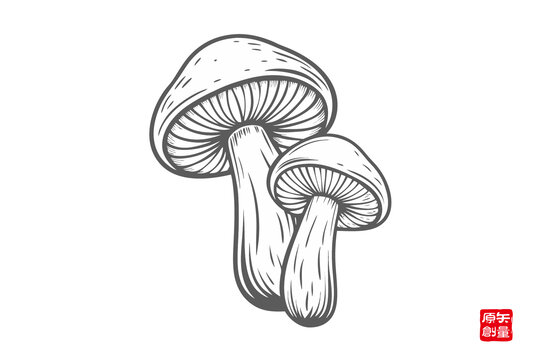 手繪雙生蘑菇插畫圖案