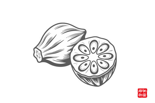 手繪切面秋葵圖案