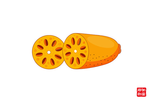 卡通風(fēng)格切開(kāi)的橙色蓮藕