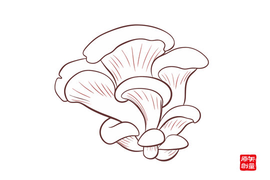 手繪平菇插畫圖案
