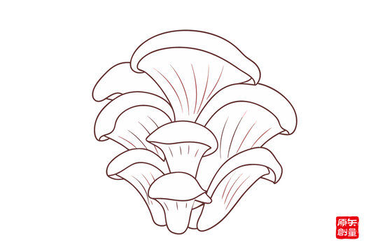 手繪平菇線稿插畫