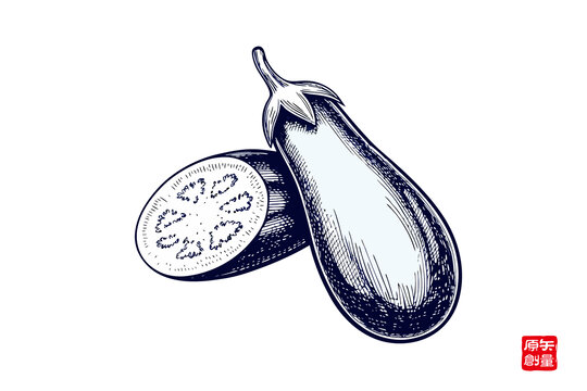 手繪茄子插畫素材