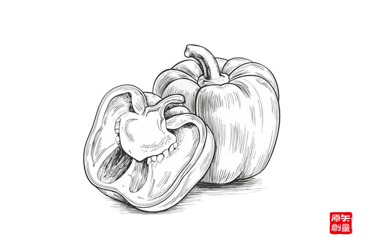 手繪黑白甜椒素描圖