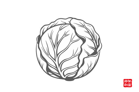 手繪簡(jiǎn)約卷心菜圖案