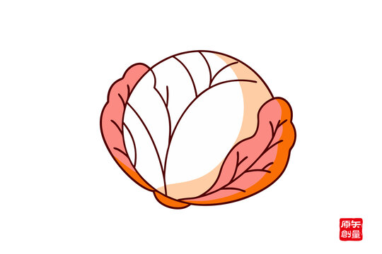 卡通風(fēng)格的圓白菜插畫