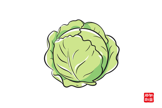 手繪卡通卷心菜插畫