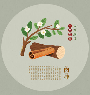 傳統(tǒng)本草之肉桂插畫手繪中草藥包裝