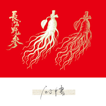 長白山野山參線稿
