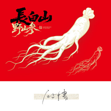 人參線稿圖