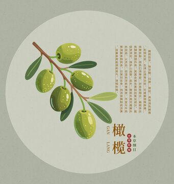 手繪清新橄欖枝插畫