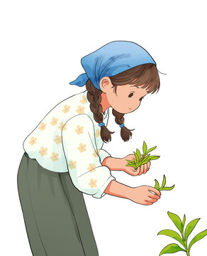 女孩專注采摘嫩綠枝葉