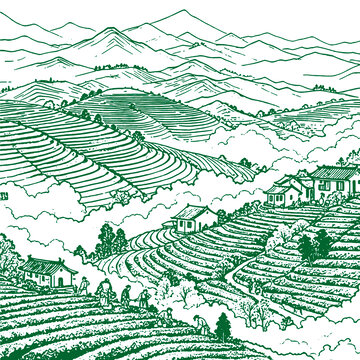 水墨風(fēng)茶山茶園梯田鄉(xiāng)村手繪線稿矢量圖