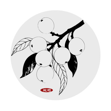 枇杷插畫