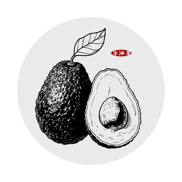 牛油果插畫