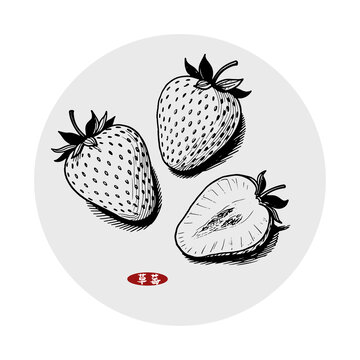 草莓插畫(huà)