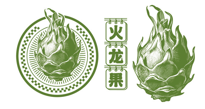 手繪火龍果