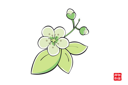 清新手繪綠色花卉插畫