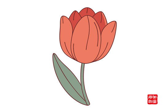 手繪簡約橙色郁金香插畫
