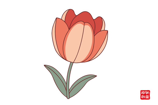 手繪橙色郁金香插畫