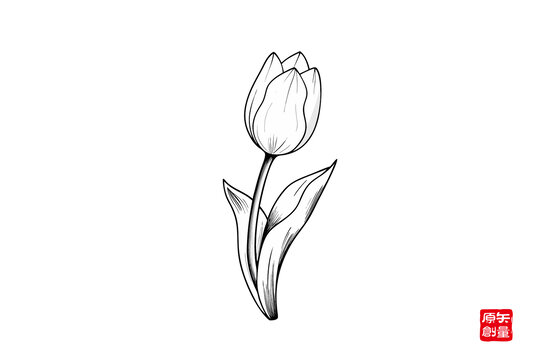 簡約黑白線條郁金香插畫