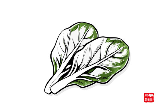 手繪新鮮青菜插畫素材